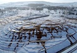 Sıcak ve soğuk bir arada! İlginç görüntü...