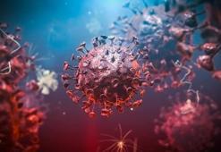 Covid 19'da K vitamini uyarısı! Ölüme neden olabilir!