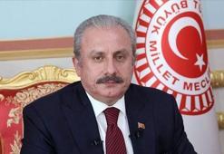 TBMM Başkanı Şentop'tan 'yeni anayasa' açıklaması: Heyecan verici