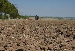 Yatırımcıya büyük destek! 49 yıl ücret alınmayacak