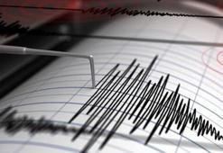 Pasifikte 7.9 büyüklüğünde deprem