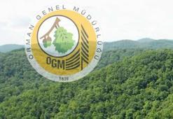 Orman Genel Müdürlüğü atama tercih işlemleri başladı! İşte kontenjan listesi!