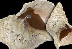 17 bin yıldır hayatımızda ama sesi ilk defa duyuldu