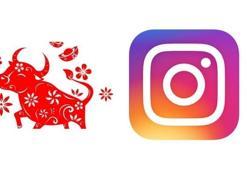 Instagram’da öküz yılı hikayesi nedir? Öküz yılı ne anlama geliyor, ne zaman sona ediyor? Öküz yılı Öküz yılında doğanların özellikleri…