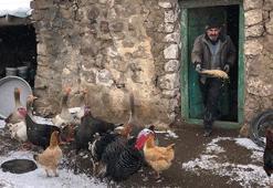 Hem evi hem işi idare ediyor: Evin direği kadınlarmış