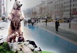 Bolu halkı ikiye bölünmüştü! 'Ayı heykeli' olayında flaş gelişme