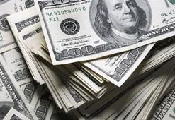 Uluslararası yatırım kuruluşundan Dolar/TL açıklaması!