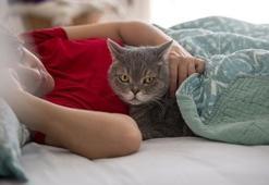 Kedi köpek sahipleri dikkat: Yeni dönem başlıyor