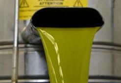 Talebin arttığı zeytinyağında tağşiş uyarısı