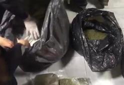 Kağıthane'de uyuşturucu operasyonu! 64 kilo bonzai ele geçirildi
