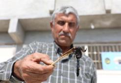 21 yıldır bunu yapıyor! İlk defa eşine uyguladı, zeytin yağı ile karıştırıp...