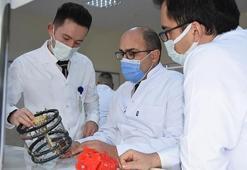 Türk bilim adamları ispatladı! Kudret narı...