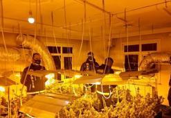 Avcılar'da evin içinde zehir yuvası! Ekipler şaşkına döndü: Piyasa değeri 1 milyon TL