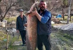 Baraj gölünde 47 kiloluk yayın balığı yakaladı