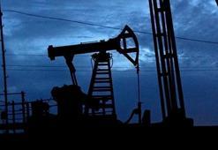 OPEC+ ülkeleri üretim kesintilerini 1 ay daha uzattı