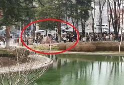 Gençlerin kavgasına vatandaşlar müdahale etti