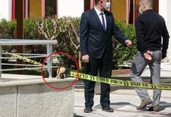 Hastane bahçesinde kafatası bulundu! Görünce şok oldular...