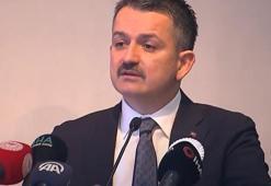 Bakan Pakdemirli: Nisan ayında başlangıcını yapacağız