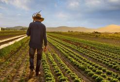 2021 mazot gübre desteği sorgulama! Tarım mazot ve gübre desteği 2021 ne zaman verilecek, yattı mı? Tarımsal destek ödemeleri bekleniyor!