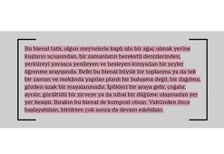 17. İstanbul Bienali'ne geri sayım başladı!
