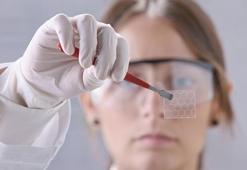 Grafen nedir? Grafen nerelerde kullanılır?