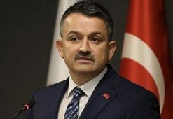 Cumhuriyet tarihinin rekoru! Bakan Pakdemirli rakamları açıkladı