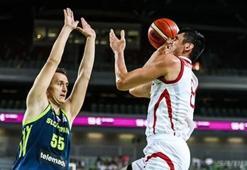 Ersan İlyasova'yı taşıyan uçak kuş sürüsüne çarptı