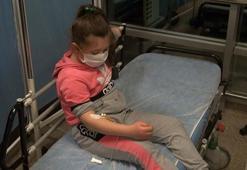 Başıboş gezen pitpul, 8 yaşındaki çocuğa saldırdı