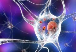 Kolon kanserinden korunmak için beslenme önem taşıyor