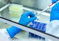 Tamamen iyileşen kanser türlerinin sayısı artıyor