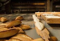 Ekmek fiyatında indirim kararı! 1 lira olacak