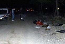 Ankara'da damar yolu açılmış 30 köpek ölüsü bulundu