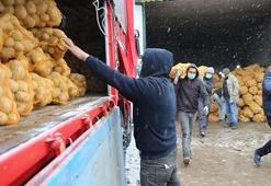 Patates, soğan ve çeltiği Toprak Mahsulleri Ofisi çiftçiden alıp ücretsiz dağıtacak...