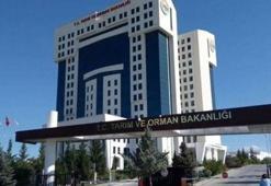 Tarım Orman Bakanlığı 2021 personel alımı! Nasıl başvurulur, kadro dağılımı ve başvuru şartları nedir?