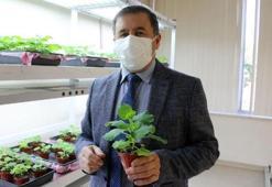 Üniversitesiteden koronavirüse karşı ilaç!