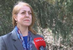 Prof. Dr. Sevinç Asilhan açıkladı: İstanbul'un meteorolojik bütün özellikleri değişecek