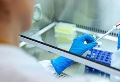 3 üniversiteden biyoteknoloji alanında iş birliği