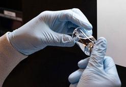 'Türkiye'nin şu anda AstraZeneca planlaması yok'