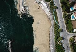 Kadıköy Caddebostan Sahili'nde salya artışı