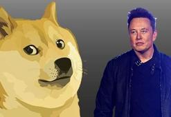 8 Mayıs dogecoin beklentisi! Elon Musk Saturday Night Live programına katılacak! Saturday Night Live saat kaçta başlıyor?