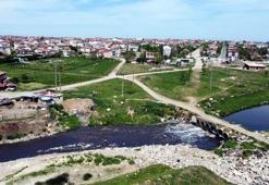 Derede ürküten görüntü! Ağır koku yayıyor