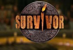 Survivor'da yeni takımlar belli oldu mu? İşte yeni takımlarla ilgili detaylar