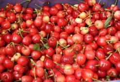 Kilosu 50 liradan alıcı buluyor