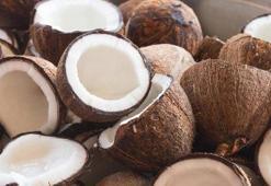 “Hindistan cevizi yağı kalp damar hastalığına yol açabilir”