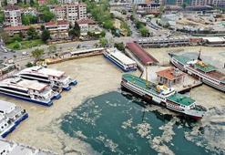 Marmara Denizi'nde büyük tehlike! Öldürüyor