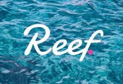 Reef coin nedir? Reef coin ne zaman çıktı, Reef coin nasıl alınır, CEOS’su kim?