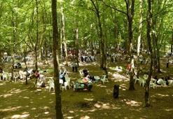 Piknik yasak mı, mesire alanları açık mı? Piknik yerleri kapalı, piknik yapmak serbest mi?