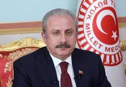 Mustafa Şentop'tan, İzlanda Parlamentosu Başkanı'na 'sözde soykırım' mektubu