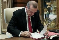 Cumhurbaşkanı Erdoğan imzaladı! 8 fakülte 2 enstitü kuruldu