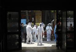 Kara mantar kabusu! Kara mantar hastalığı belirtilerine dikkat!